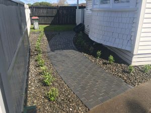 image of Planting along pathways
