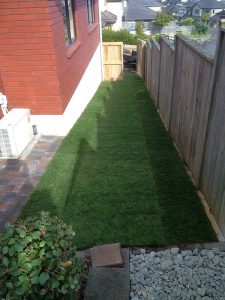 Image of Ready lawn